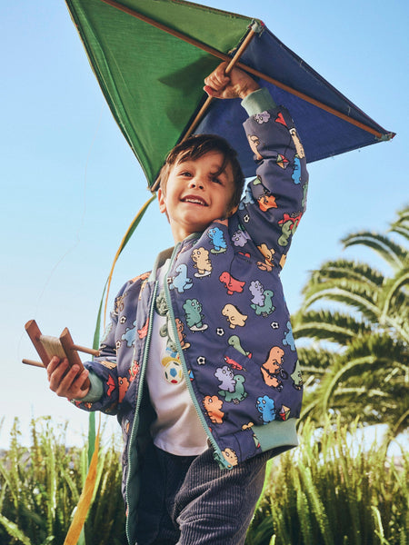 Dino Play Reversible Bomber